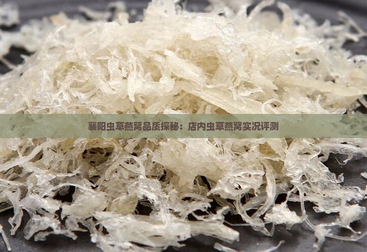 襄阳虫草燕窝品质探秘：店内虫草燕窝实况评测