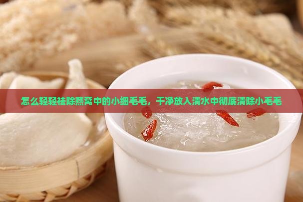 怎么轻轻祛除燕窝中的小细毛毛，干净放入清水中彻底清除小毛毛