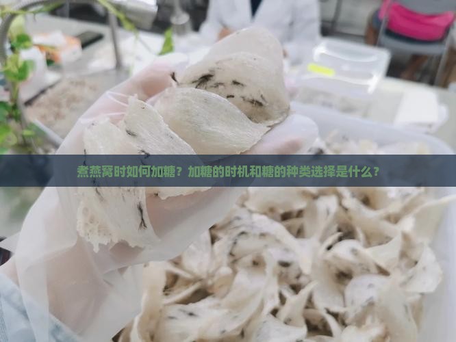 煮燕窝时如何加糖？加糖的时机和糖的种类选择是什么？