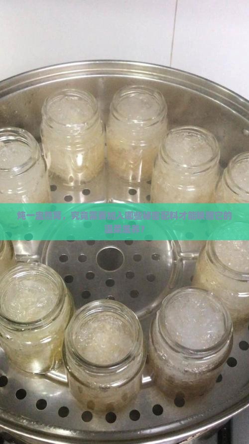 炖一盅燕窝，究竟需要加入哪些秘密配料才能唤醒它的温柔滋养？