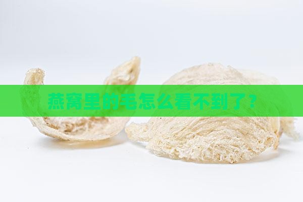 燕窝里的毛怎么看不到了？