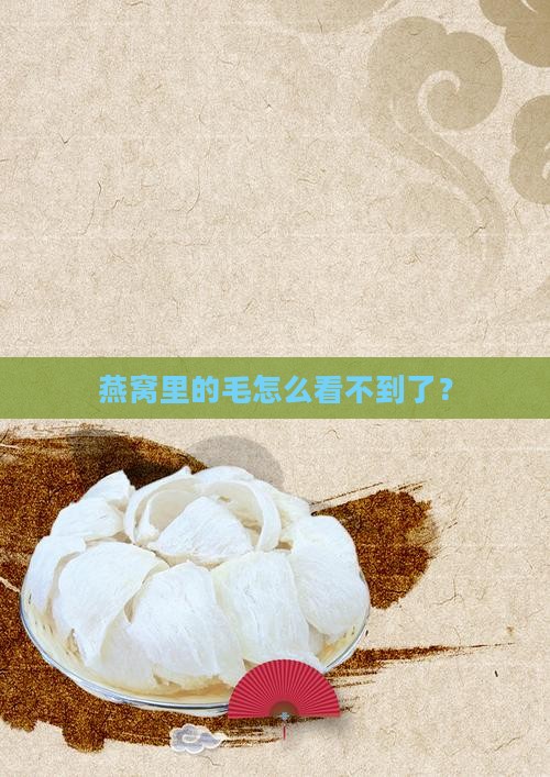 燕窝里的毛怎么看不到了？