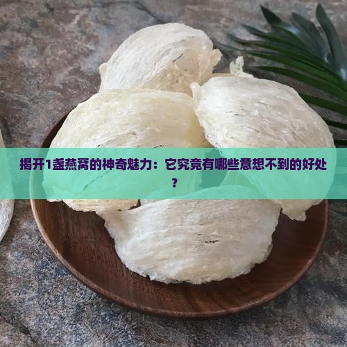 揭开1盏燕窝的神奇魅力：它究竟有哪些意想不到的好处？