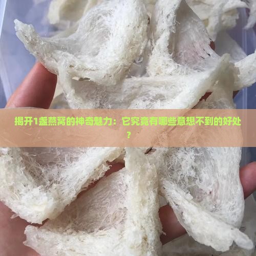 揭开1盏燕窝的神奇魅力：它究竟有哪些意想不到的好处？