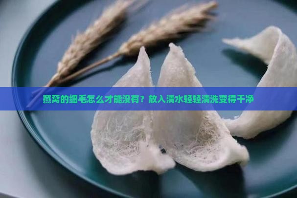 燕窝的细毛怎么才能没有？放入清水轻轻清洗变得干净