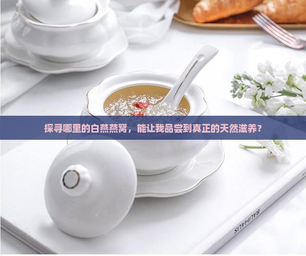 探寻哪里的白燕燕窝，能让我品尝到真正的天然滋养？