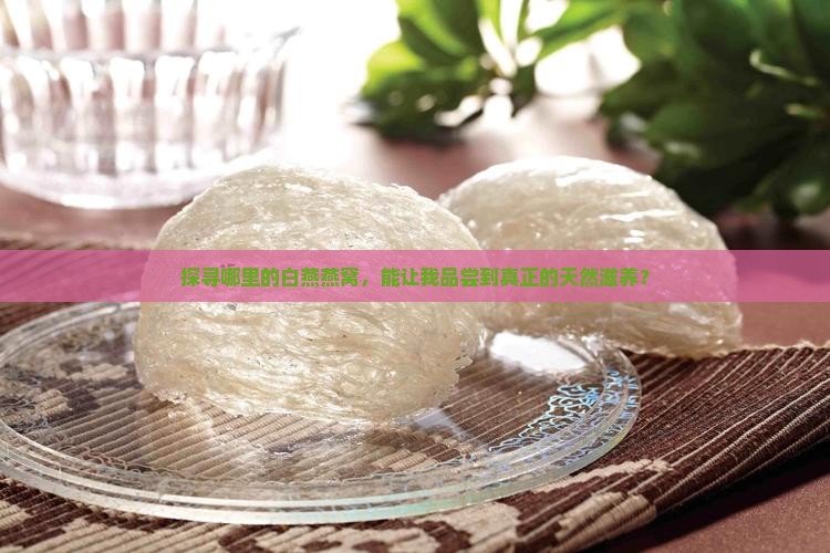 探寻哪里的白燕燕窝，能让我品尝到真正的天然滋养？
