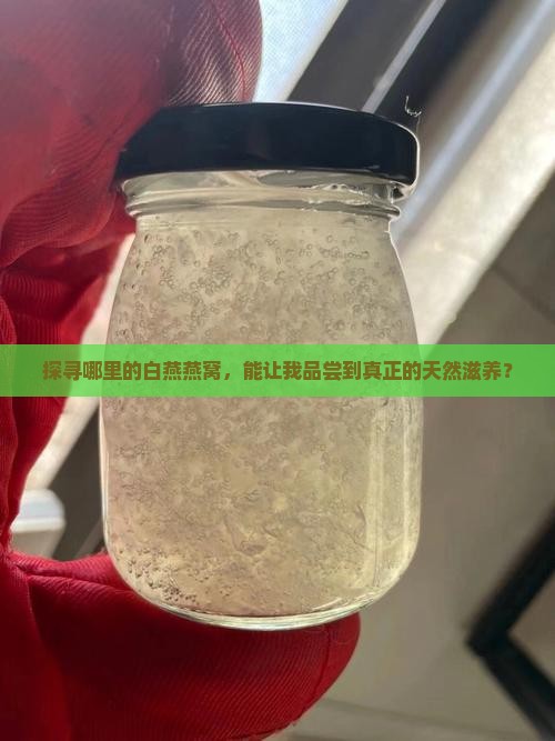 探寻哪里的白燕燕窝，能让我品尝到真正的天然滋养？