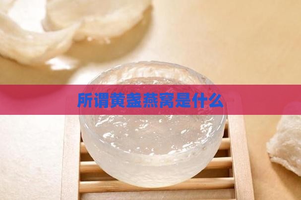 所谓黄盏燕窝是什么