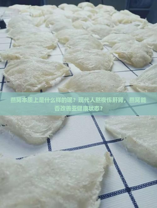 燕窝本质上是什么样的呢？现代人熬夜伤肝肾，燕窝能否改善亚健康状态？