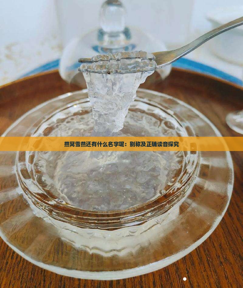 燕窝雪燕还有什么名字呢：别称及正确读音探究