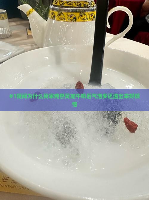 #1疑问为什么我家炖燕窝加牛奶后气泡多还溢出来好烦恼