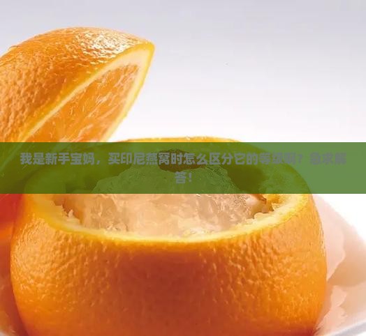 我是新手宝妈，买印尼燕窝时怎么区分它的等级啊？急求解答！