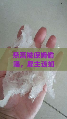 燕窝被保姆偷喝，雇主该如权止损？