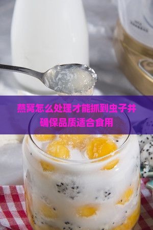 燕窝怎么处理才能抓到虫子并确保品质适合食用