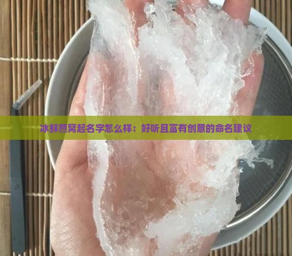 冰鲜燕窝起名字怎么样：好听且富有创意的命名建议