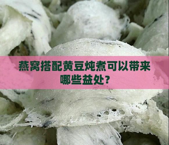 燕窝搭配黄豆炖煮可以带来哪些益处？