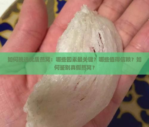 如何挑选优质燕窝：哪些因素最关键？哪些值得信赖？如何鉴别真假燕窝？