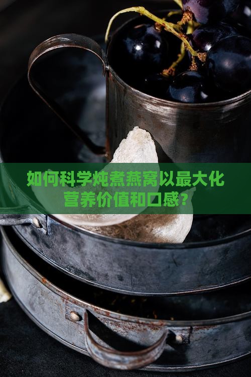 如何科学炖煮燕窝以最大化营养价值和口感？