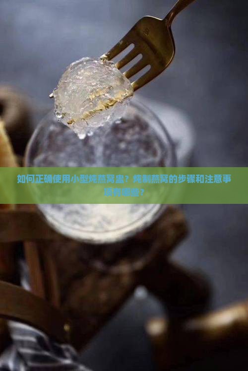 如何正确使用小型炖燕窝盅？炖制燕窝的步骤和注意事项有哪些？