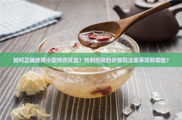 如何正确使用小型炖燕窝盅？炖制燕窝的步骤和注意事项有哪些？