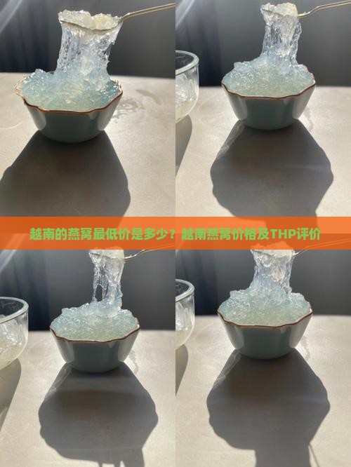 越南的燕窝最低价是多少？越南燕窝价格及THP评价