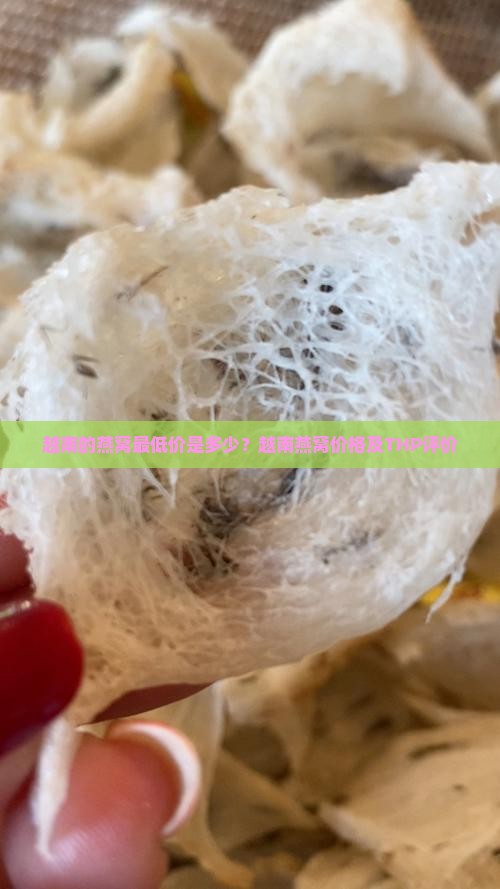 越南的燕窝最低价是多少？越南燕窝价格及THP评价
