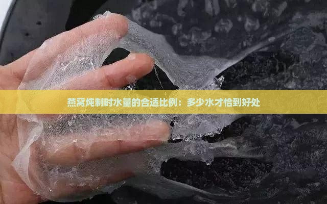 燕窝炖制时水量的合适比例：多少水才恰到好处