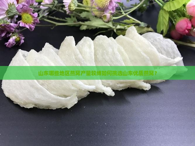 山东哪些地区燕窝产量较缚如何挑选山东优质燕窝？