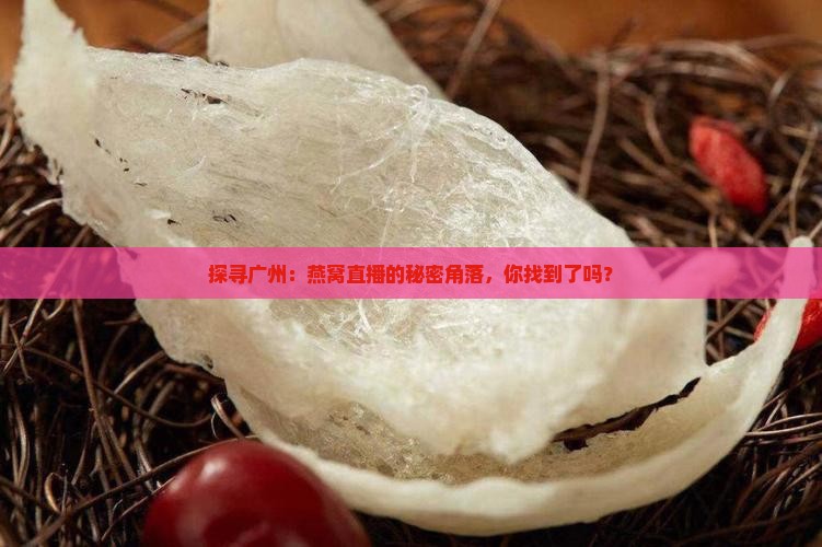 探寻广州：燕窝直播的秘密角落，你找到了吗？