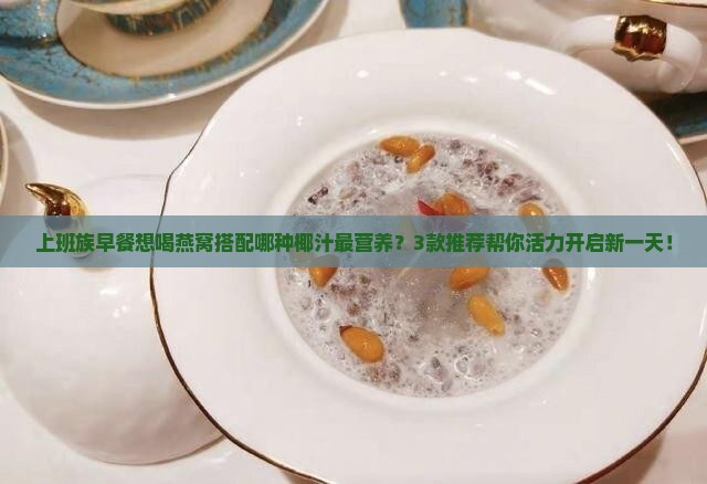 上班族早餐想喝燕窝搭配哪种椰汁最营养？3款推荐帮你活力开启新一天！