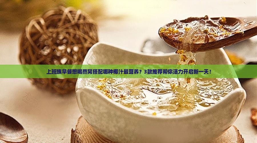 上班族早餐想喝燕窝搭配哪种椰汁最营养？3款推荐帮你活力开启新一天！
