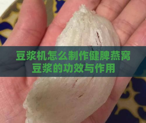 豆浆机怎么制作健脾燕窝豆浆的功效与作用