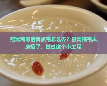 燕窝炖好后有点毛怎么办？燕窝挑毛太麻烦了，试试这个小工尽