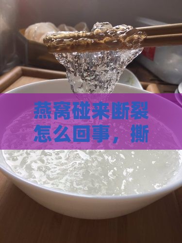 燕窝碰来断裂怎么回事，撕开碎了是正常现象