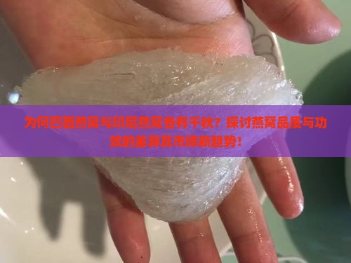 为何巴西燕窝与印尼燕窝各有千秋？探讨燕窝品质与功效的差异及市场新趋势！