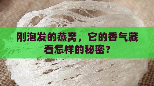 刚泡发的燕窝，它的香气藏着怎样的秘密？