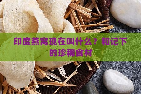 印度燕窝现在叫什么？和记下的珍稀食材