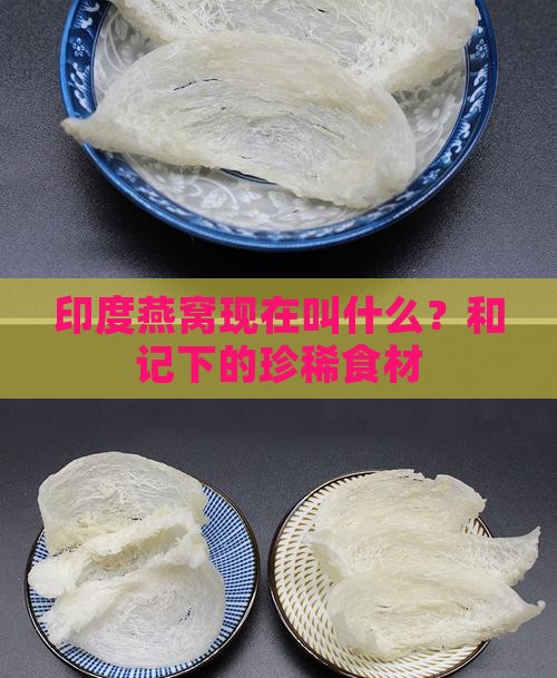 印度燕窝现在叫什么？和记下的珍稀食材