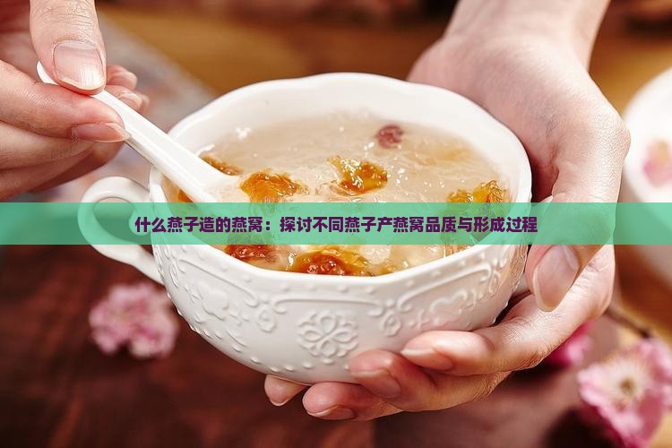 什么燕子造的燕窝：探讨不同燕子产燕窝品质与形成过程