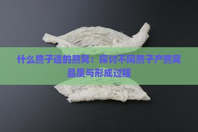 什么燕子造的燕窝：探讨不同燕子产燕窝品质与形成过程