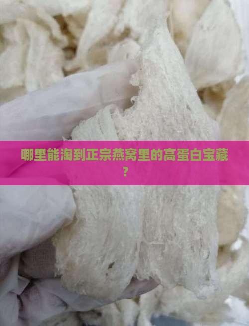 哪里能淘到正宗燕窝里的高蛋白宝藏？