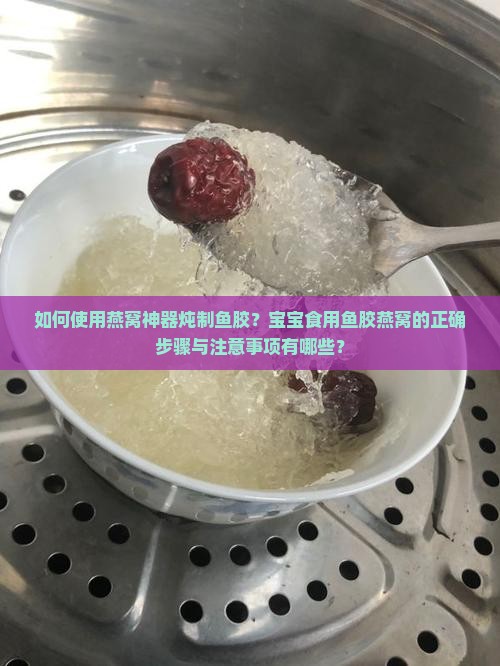 如何使用燕窝神器炖制鱼胶？宝宝食用鱼胶燕窝的正确步骤与注意事项有哪些？