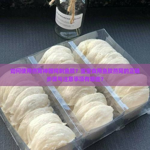 如何使用燕窝神器炖制鱼胶？宝宝食用鱼胶燕窝的正确步骤与注意事项有哪些？