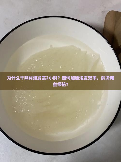 为什么干燕窝泡发需2小时？如何加速泡发效率，解决炖煮烦恼？