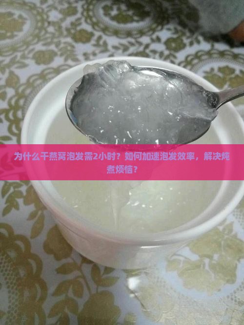 为什么干燕窝泡发需2小时？如何加速泡发效率，解决炖煮烦恼？