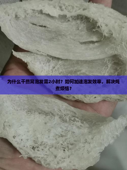 为什么干燕窝泡发需2小时？如何加速泡发效率，解决炖煮烦恼？