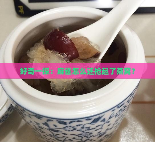 好奇一探：麻雀怎么还抢起了燕窝？