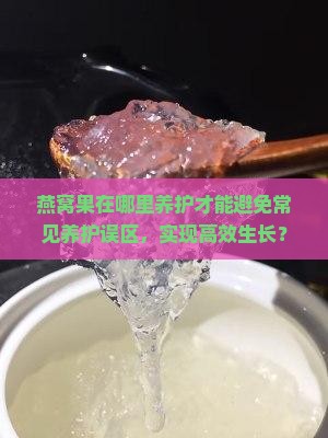 燕窝果在哪里养护才能避免常见养护误区，实现高效生长？