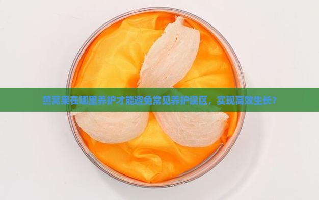 燕窝果在哪里养护才能避免常见养护误区，实现高效生长？